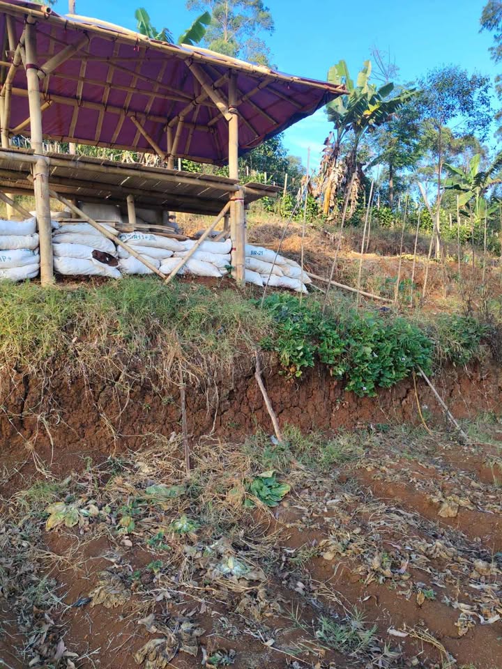 Foto 2 Dijual Tanah di KABUPATEN BANDUNG - Tanah Pinggir Jalan Desa Ciwidey