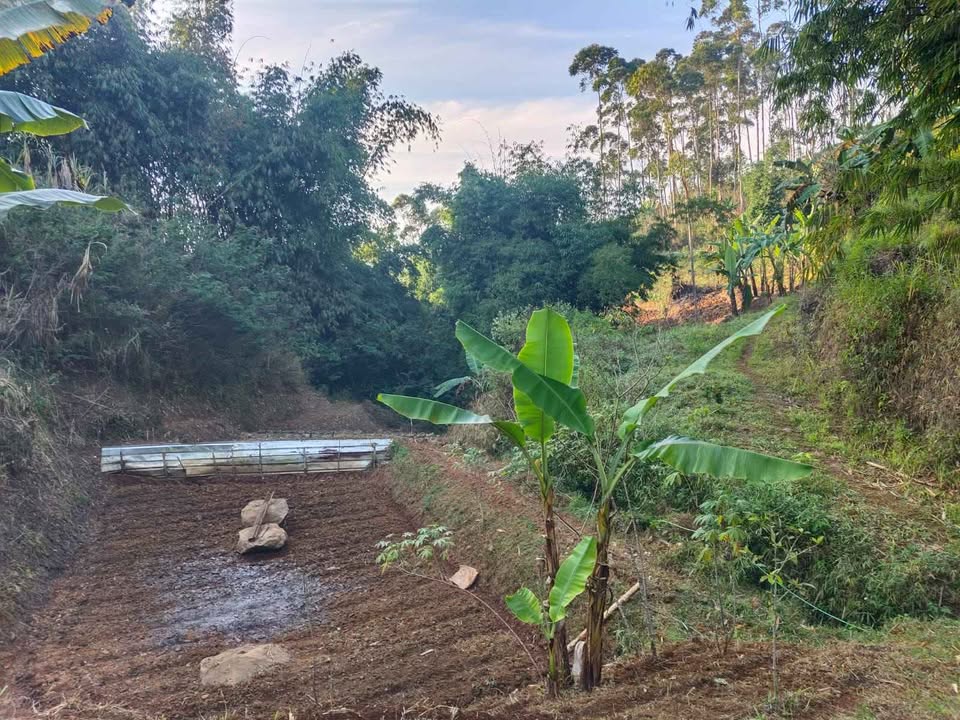Foto 5 Dijual Tanah di KABUPATEN BANDUNG - Tanah Pinggir Jalan Desa Ciwidey