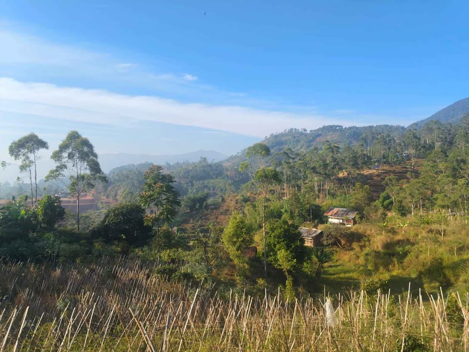 Foto 8 Dijual Tanah di KABUPATEN BANDUNG - Tanah Pinggir Jalan Desa Ciwidey