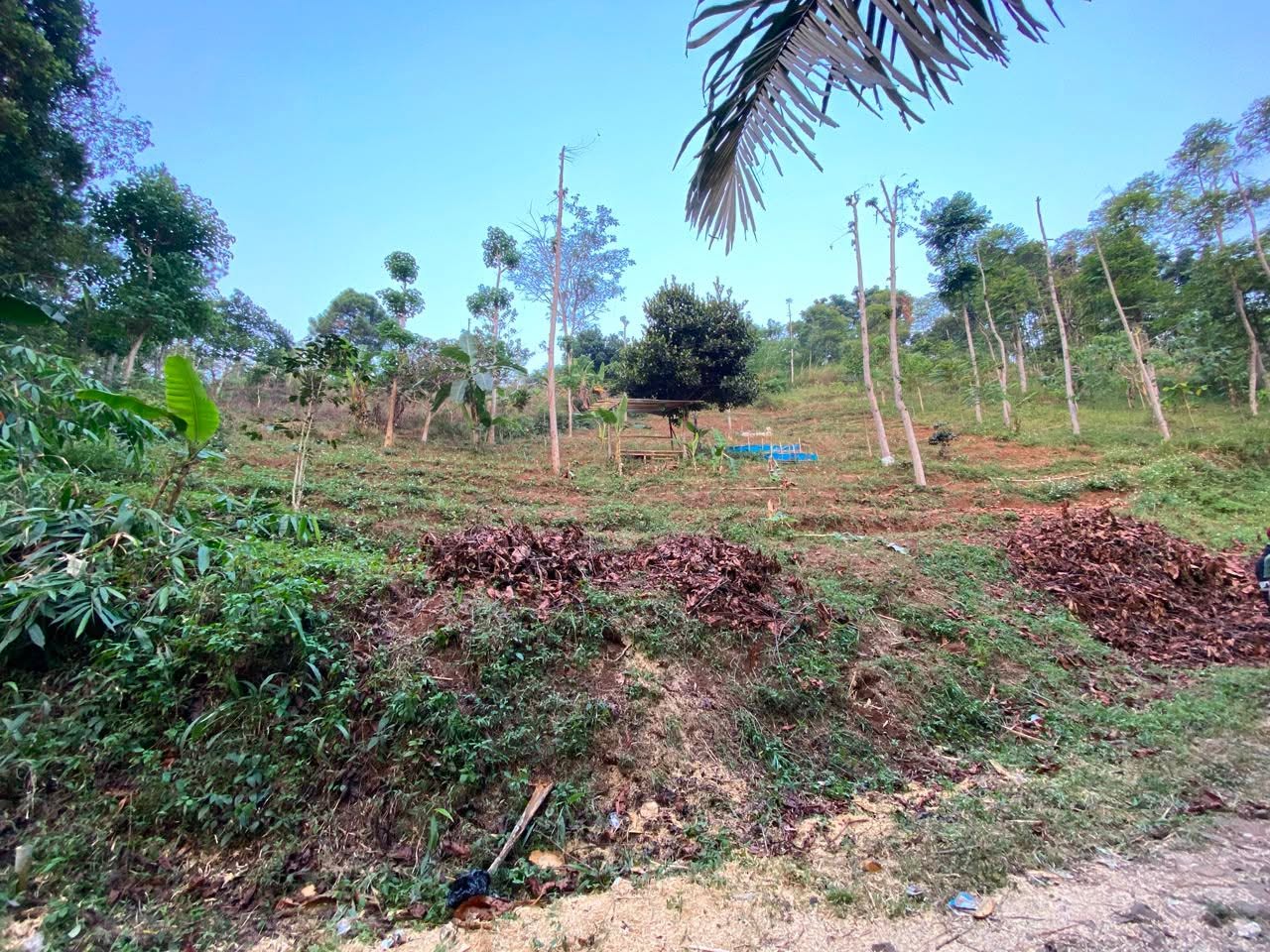 Foto 3 Dijual Tanah di KABUPATEN BANDUNG - Tanah Terasering Cilengkrang