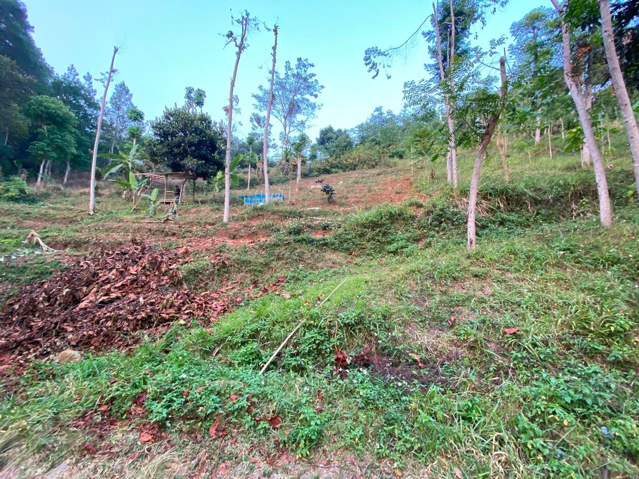 Foto 4 Dijual Tanah di KABUPATEN BANDUNG - Tanah Terasering Cilengkrang
