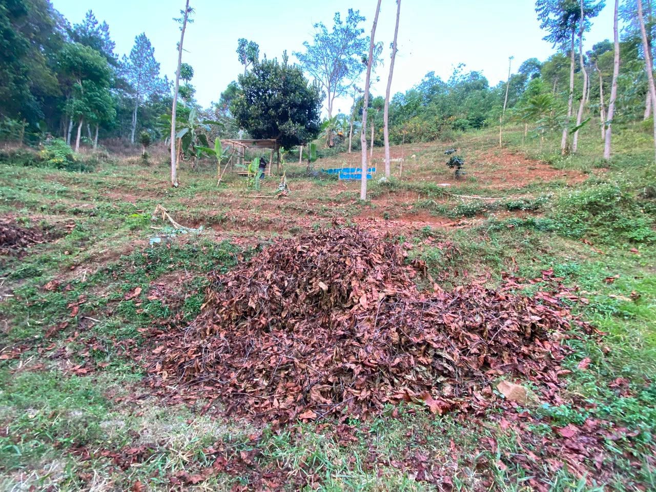 Tanah Terasering Cilengkrang