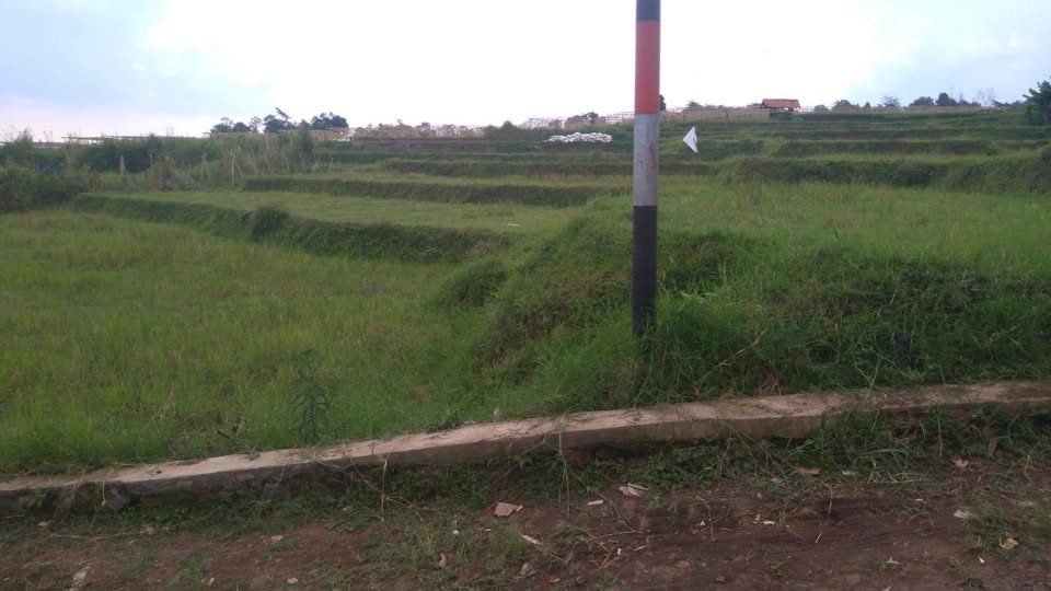 Foto 4 Dijual Tanah di KABUPATEN BANDUNG BARAT - Tanah Akses Mobil Murah 1.8Jt/m² Dekat Pemkab Bandung Barat & Kota Baru Parahyangan