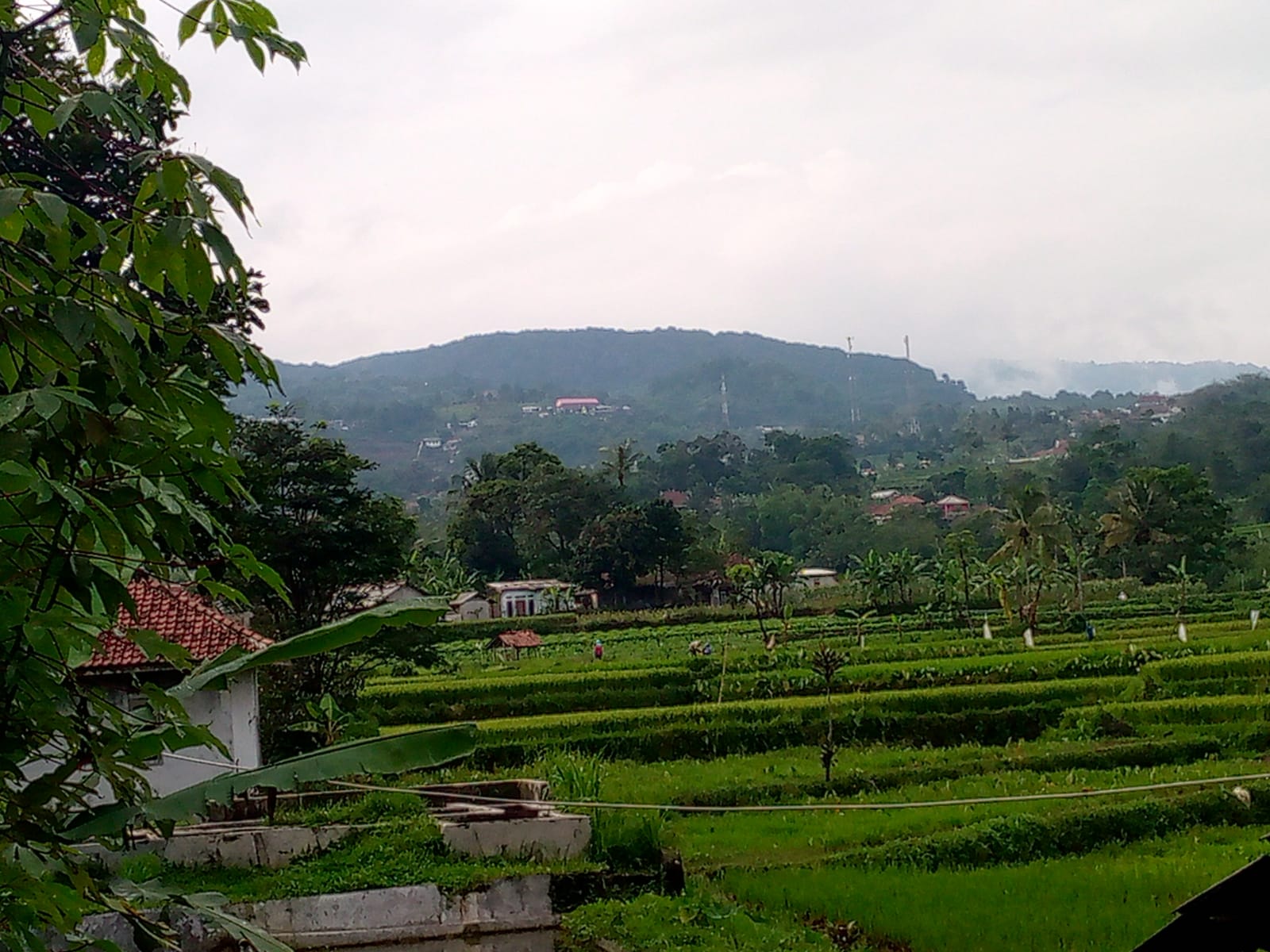 Fasilitas Kawasan Wisata Salak Endah